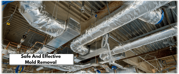 Air Duct Mold Removal in Woburn MA