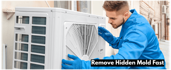 HVAC Mold Removal Woburn MA